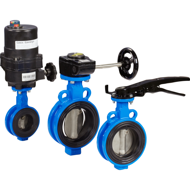 Butterfly Valve