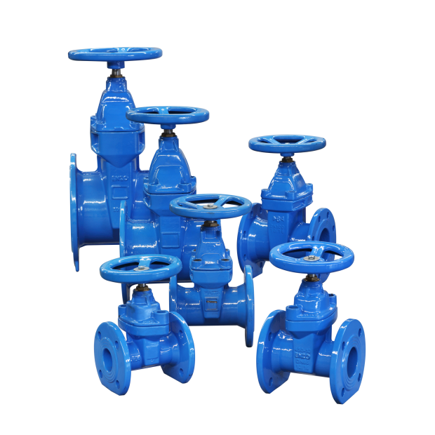 Gate Valve